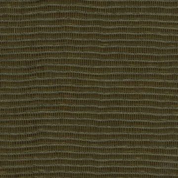 Alicante - Wipeout - Jalapeno