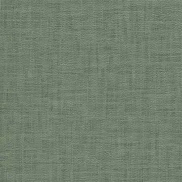 Fallen Timbers - Aloe Garden