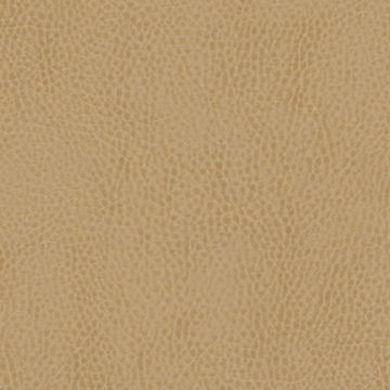 |Impression - Wipeout - Almond