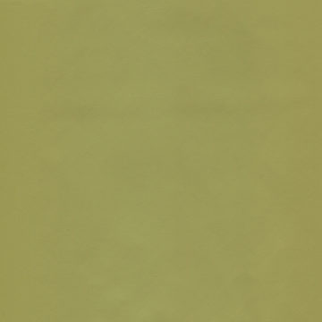 |Memoir (Kirra) - Wipeout - Avocado