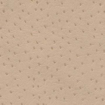 |Phoenix - Alabaster