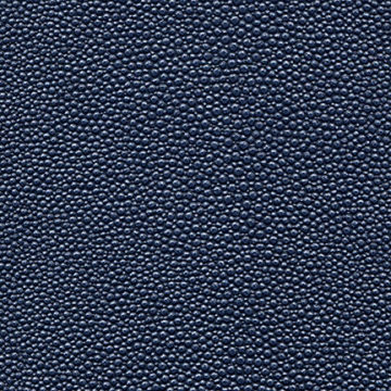 Shagreen