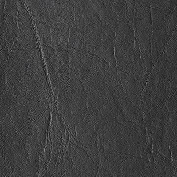 Tan Tan - Wipeout - Teak