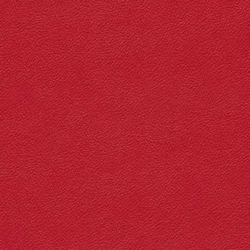 |Visage (Sandy Hook) - Beauty